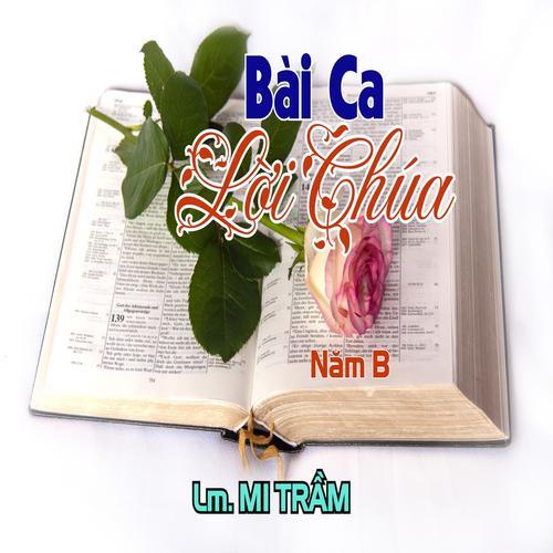 sao việt