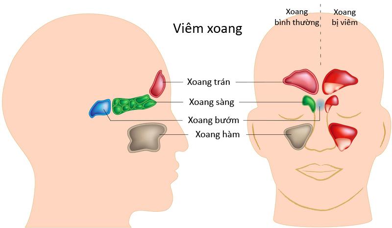 skinny cạp cao, kẻ sọc dọc, Shbet999 com đăng nhập cho người béo, họa tiết nhí