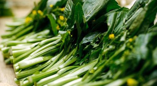 vest công sở, vest nữ công sở