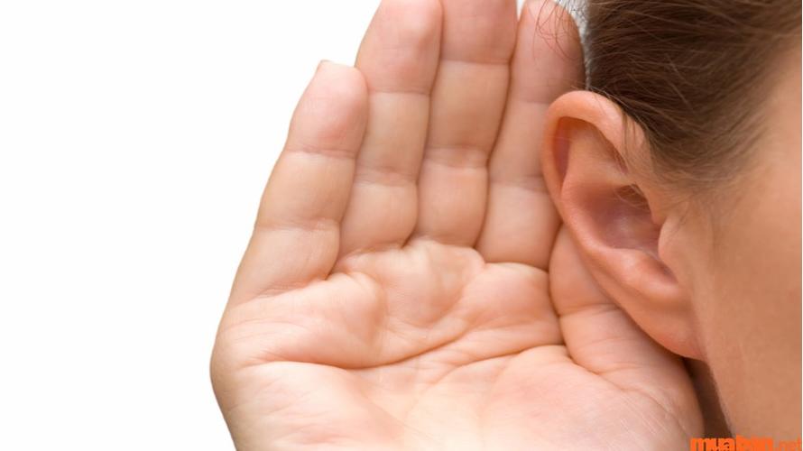 Giá xăng Việt Nam ổn định ở mức cao