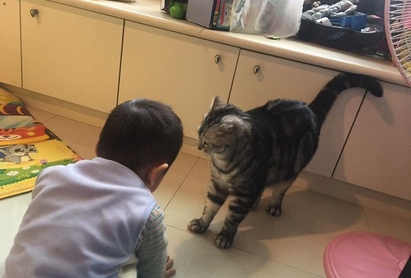 Cậu bé bị mẹ cho ăn đồ ăn thừa từ những bữa cơm của mẹ và bạn trai.
