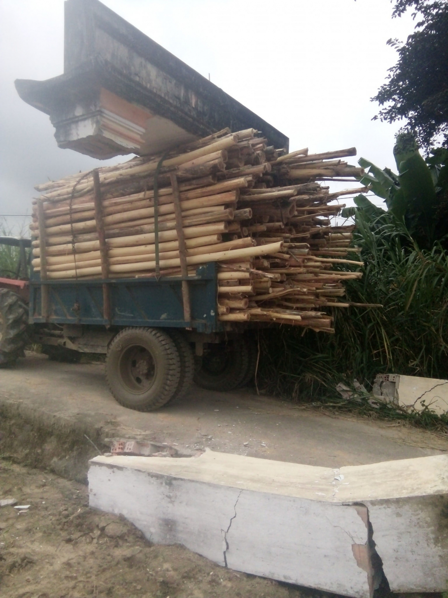 Sự việc hi hữu khiến nhiều người xôn xao.