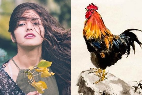 dau