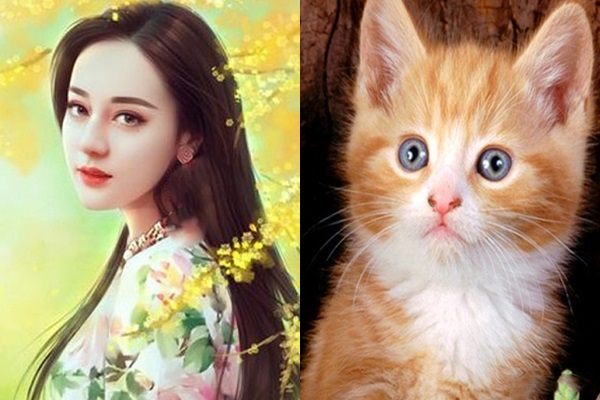 tuoi-mao