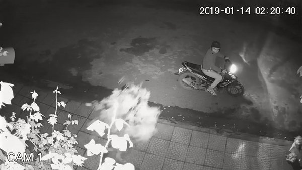 Cặp đôi bê trộm cây cảnh bị camera an ninh ghi lại.