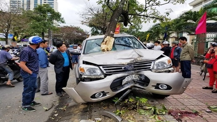 Chiếc ô tô đâm trực diện làm gãy đôi cây hoa sữa ven đường.