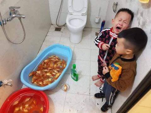 Chắc là thấy cá khát nước quá, 2 cậu nhóc đã vác nước rửa lau sàn ra cho uống.
