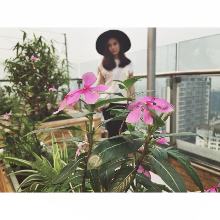 Lấy nét 