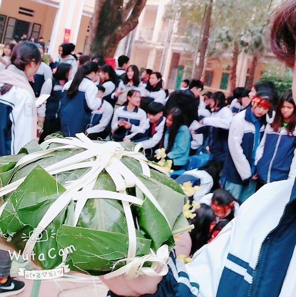 Nhìn chiếc bánh chưng này mà 
