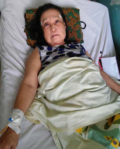 hoa-my-hanh-sharoncuneta.com