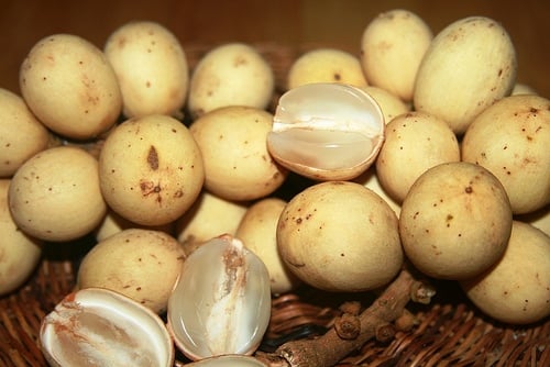 qua-bon-bon-sharoncuneta.com
