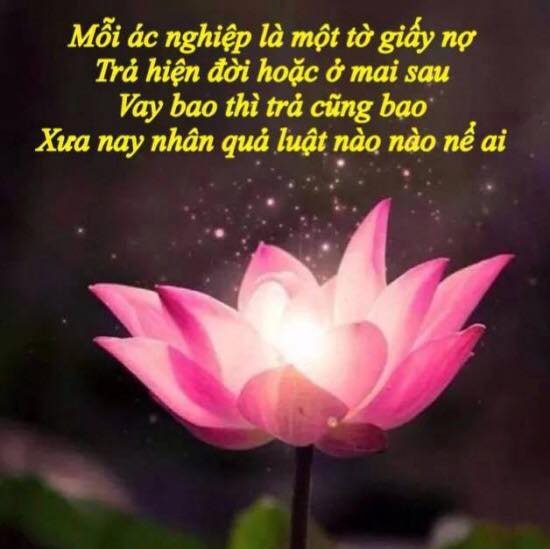ky-duyen-sharoncuneta.com