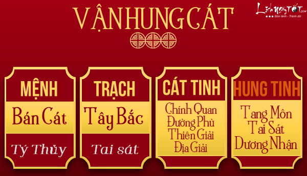 tu-vi-tuoi-ty-nam-2018-hung-cat