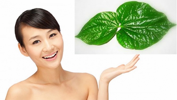 meotaylongtaychanbangnuocla-ngoisao.vn