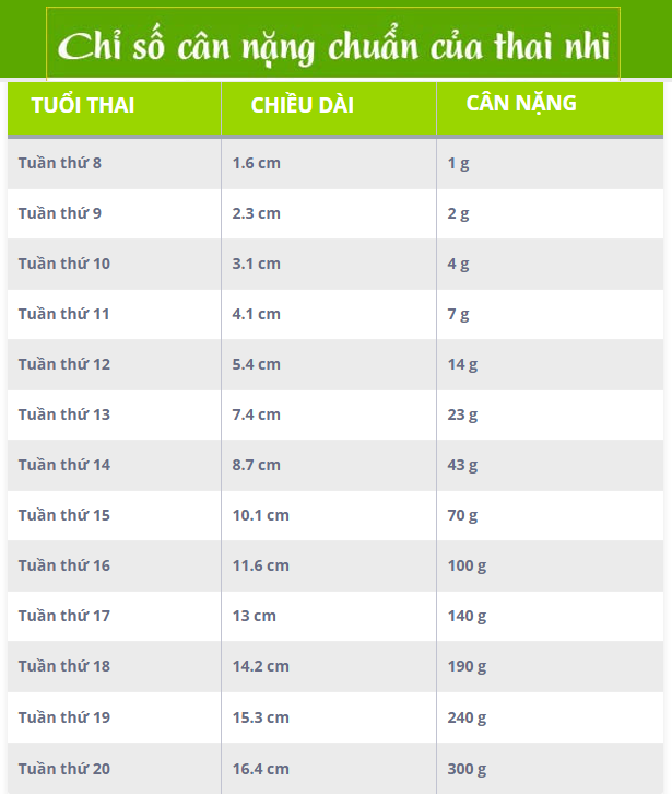 bang-can-nang-thai-nhi-th