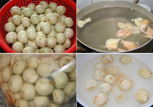 cach-muoi-ca