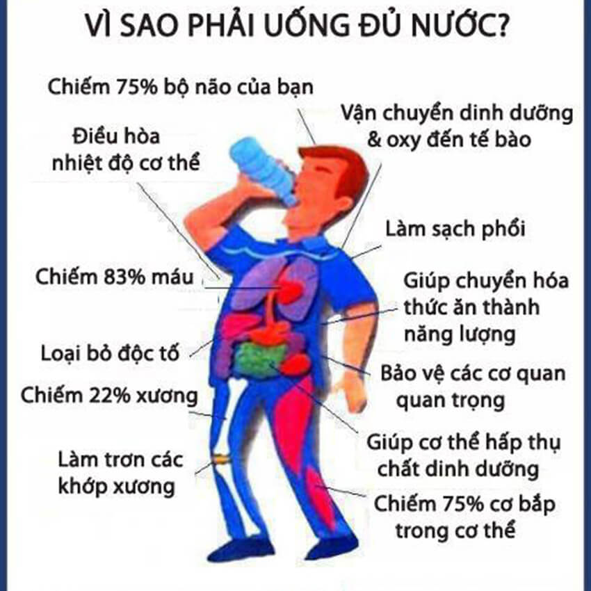 vai-tro-cua-nuoc-1