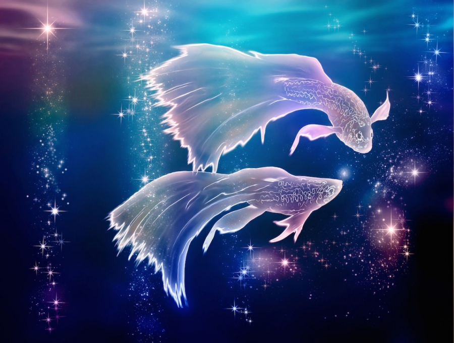 piscis