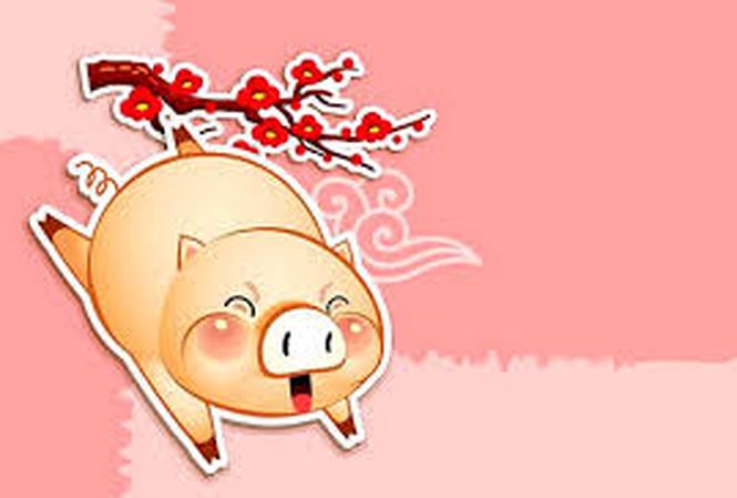 tuoi_hoi_hqjs