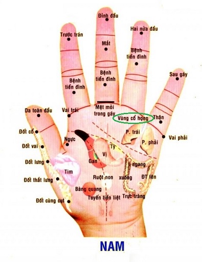 huyetbantay7