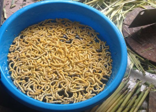 cac-mon-ngon-tu-sau-chit-1