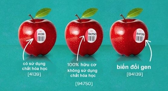 Trái cây có mã số bắt đầu bằng số 4 – Trái cây được gieo trồng theo phương pháp thông thường có sử dụng chất hóa học.