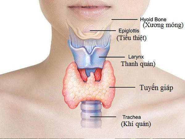 hoa-hau-pham-huong-gap-rac-roi-ve-suc-khoe-can-benh-co-dang-mac-nguy-hiem-the-nao-1