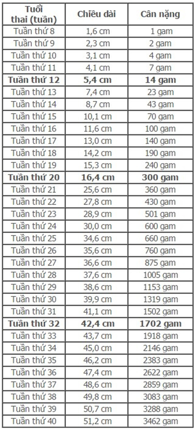 can-nang-thai-nhi-2