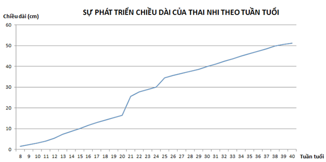 can-nang-thai-nhi-4