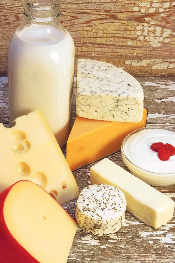 Milk_Yogurt_Cheese_78458105_w