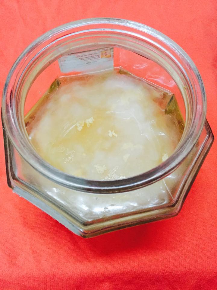 huong-dan-cach-nuoi-giam-bang-chuoi-tai-nha-3