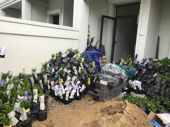 Số lượng cây xanh trong chậu nhỏ được huy động tới hàng trăm để dựng một vườn không gian thiên nhiên cho căn nhà.