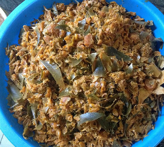 Sản phẩm sau 3 tháng. Bã chia nhỏ vun vào dưới các gốc cây.