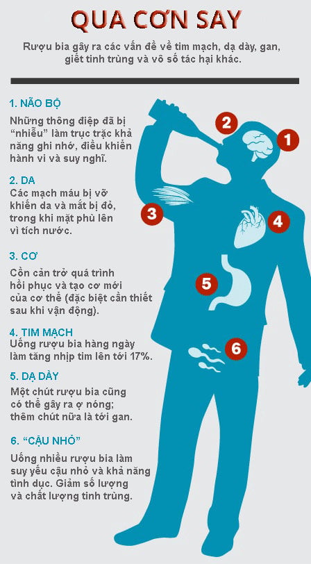coc-to-lam-uong-nhieu-hon-ifg-tac-hai-cua-ruou-bia-3-1465961336992