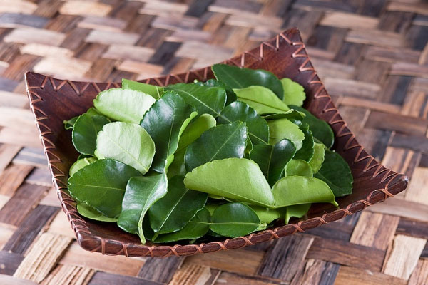cong-dung-cua-la-chanh