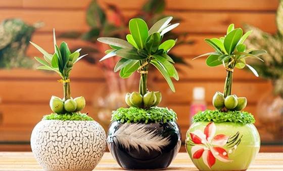 092050baoxaydung_image001