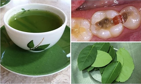 tac-dung-chua-benh-cua-la-chanh