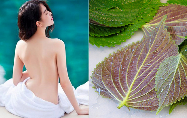 tam-trang-bang-la-tia-to-hieu-qua