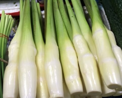 tat-tan-tat-kham-pha-ve-cu-nieng-dan-bac-me-man-Hinh-8