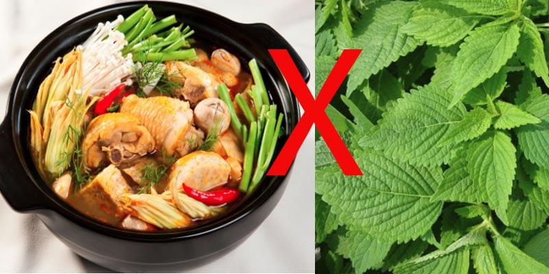 nhung-loai-rau-de-sinh-doc-to-khi-ket-hop-voi-mot-so-mon-lau_800x400