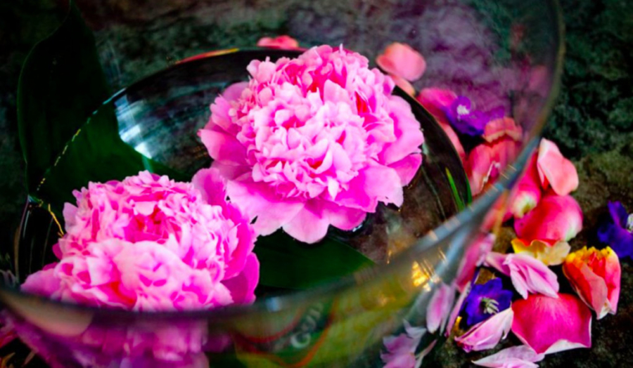 flores-1024x597
