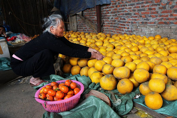 cach-bao-quan-buoi-dien-khong-bi-hong