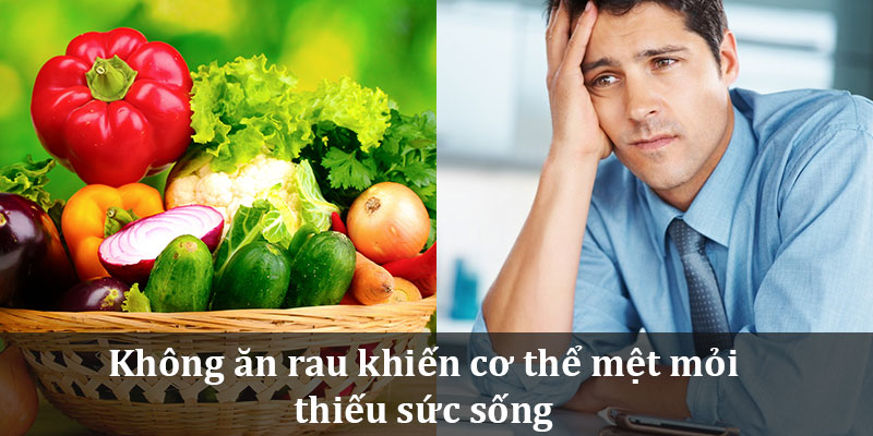 dieu-gi-se-xay-ra-neu-ban-khong-an-rau-h1_800x400