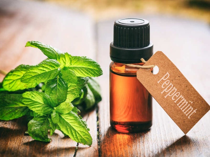 1-smells-that-can-help-you-lose-weight-110425034