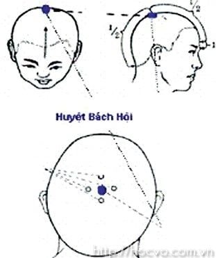 9-tu-huyet-nguy-hiem-o-vung-dau-va-co-can-duoc-bao-ve-1