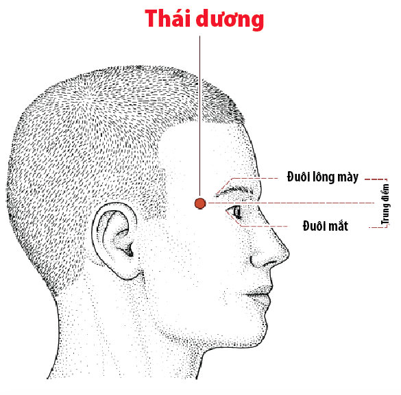 thaiduong