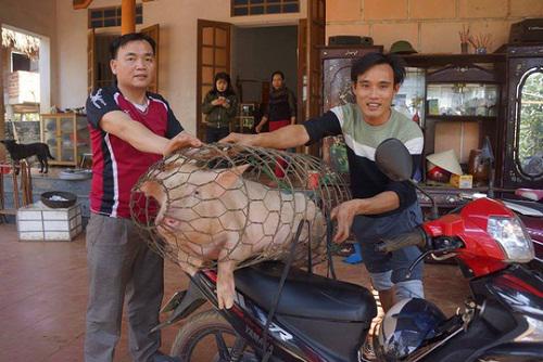 bat-ngo-voi-can-nha-gian-di-vung-dan-toc-muong-cua-chang-thu-mon-bui-tien-dung-2704344510345471200176531367369209n-1516696542475-1516712046-702-width500height334