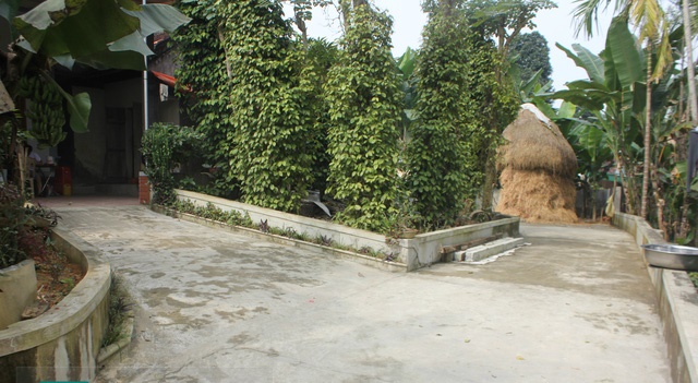 VN_15c455123b8b322c19cc2336t09817813