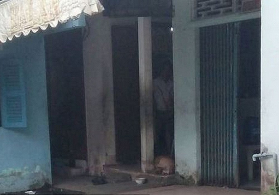 Cận cảnh căn nhà cũ của cha Thúy Vi ở quê