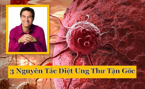 nguyen-tac-phong-chong-ung-thu-phunutoday